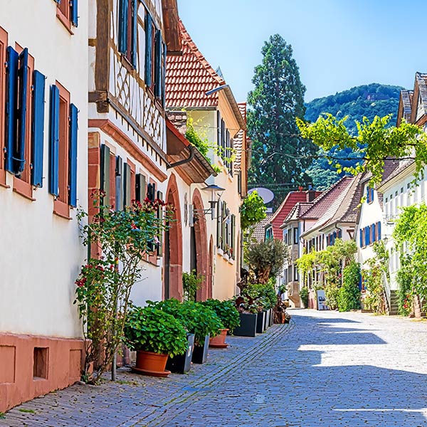 Michel Schneider Weine -Mediteraner Lifestyle