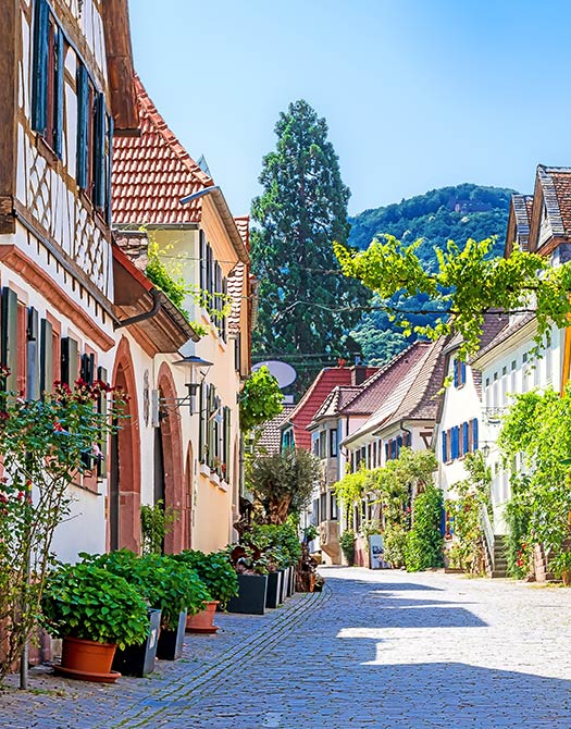 michel_schneider-mediteraner-lifestyle